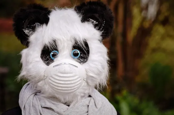 Thunderbolt Casino Supporto